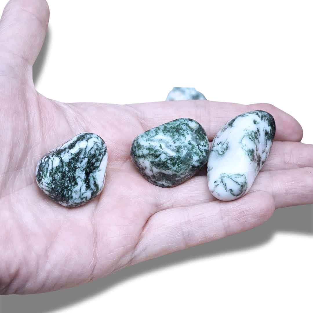 Agate Arbre - Pierre roulée (PRGFL433) - ENAE Minéraux