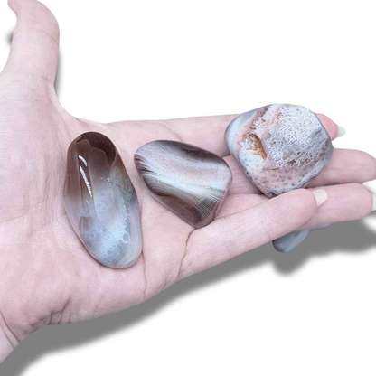 Agate du Botswana - Pierre roulée (PRGFL523)