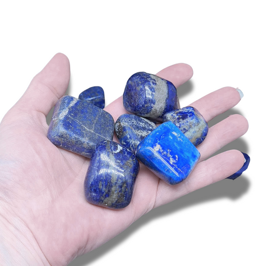 Pierres polies en Lapis-Lazuli (PRGFL695)
