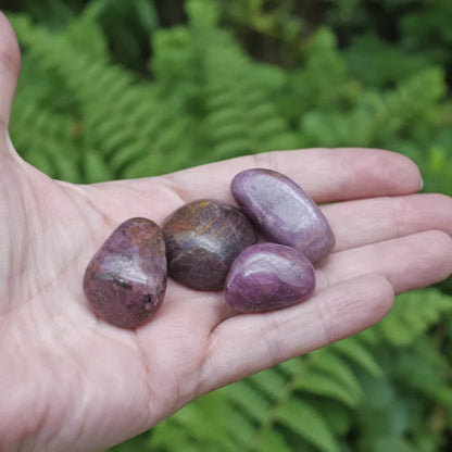 Rubis - Pierre roulée (PRGFL454)