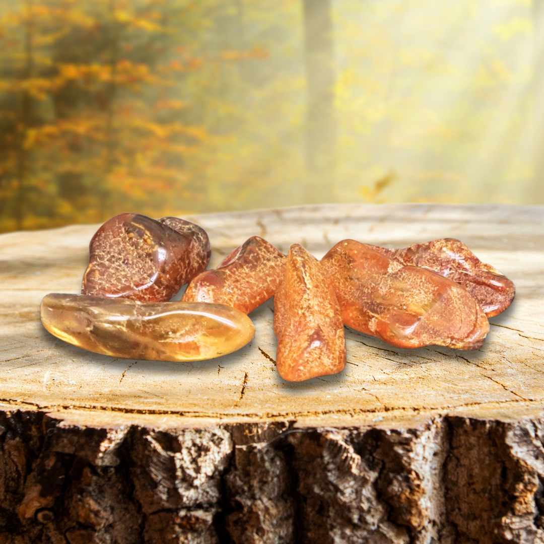 Ambre de la Baltique - Pierre roulée (PRGFL431)