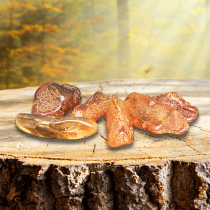 Ambre de la Baltique - Pierre roulée (PRGFL431)