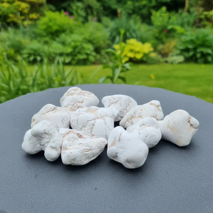 Magnésite pierre roulée (PRGFL457)