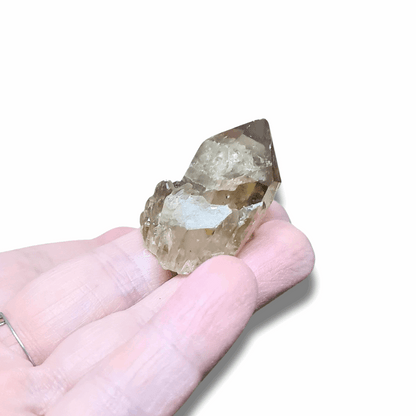 Pointe de Citrine brute (MB522-15)