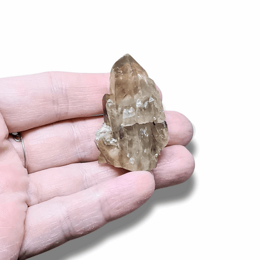 Pointe de Citrine brute (MB522-16)
