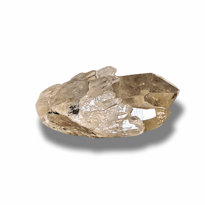 Pointe de Citrine brute (MB522-16)