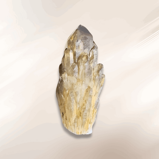 Pointe de Citrine brute naturelle (MB522-12)