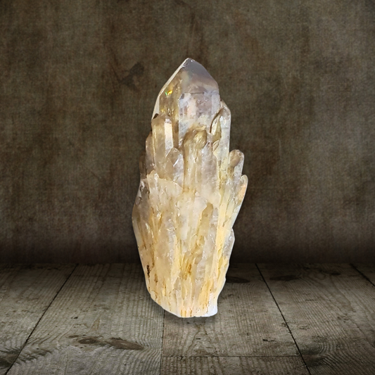 Pointe de Citrine brute naturelle (MB522-12)