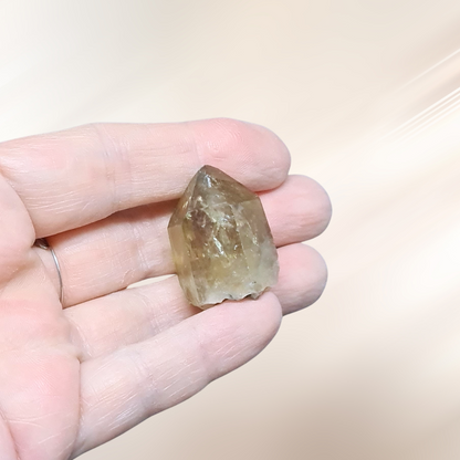 Pointe de Citrine brute naturelle (MB522-13)