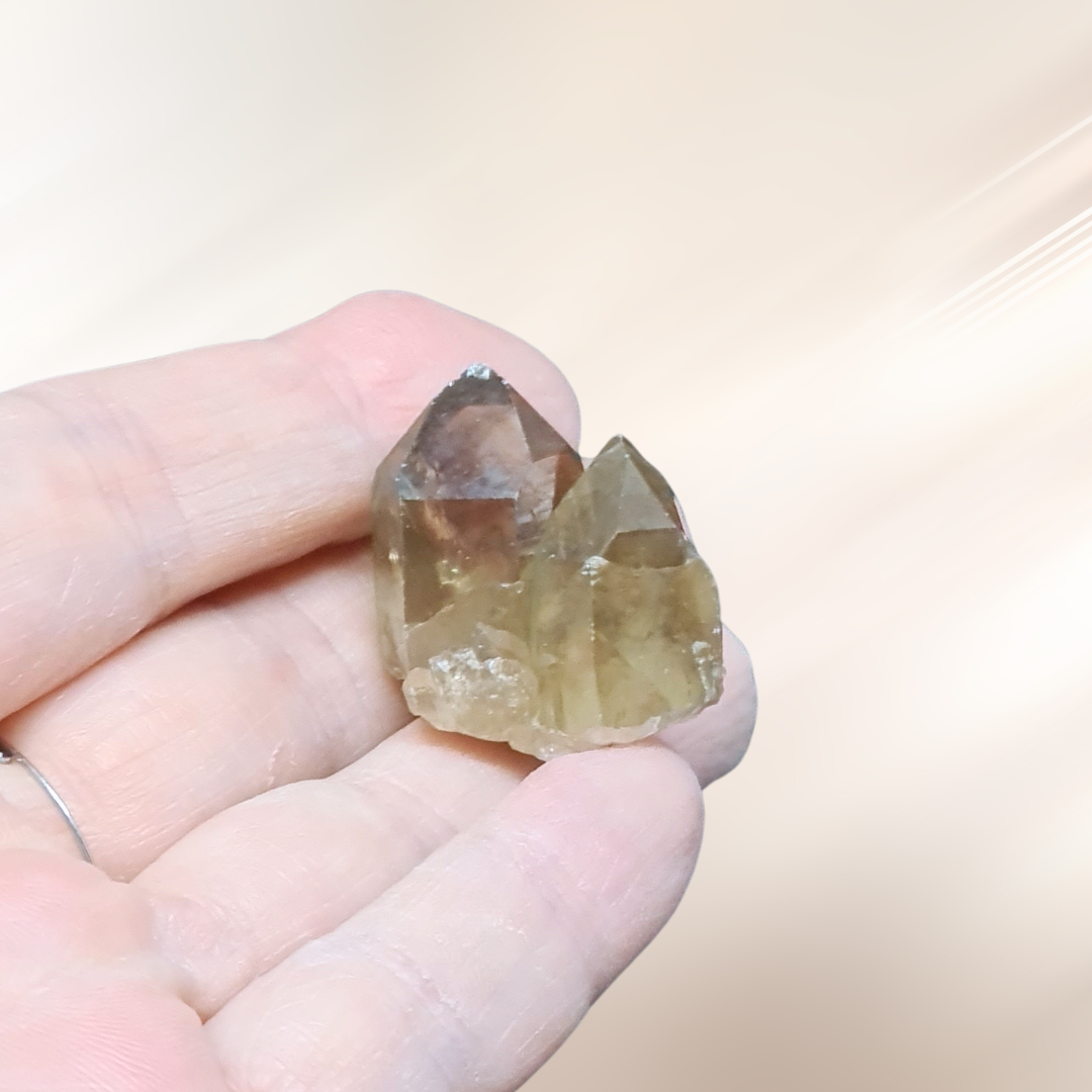 Double pointe de Citrine brute naturelle (MB522-14)