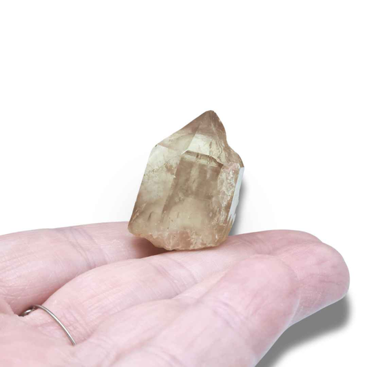 Pointe de Citrine brute naturelle (MB522-6) - ENAE Minéraux