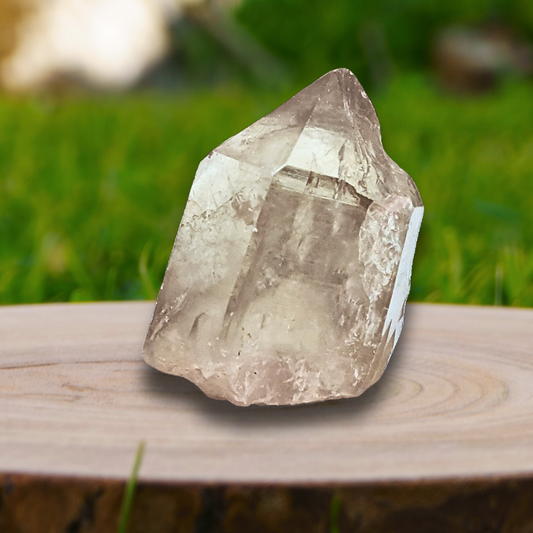 Pointe de Citrine brute naturelle 13g (MB522-6)