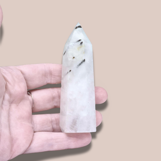 Pointe de Quartz à Tourmaline noire (PRGFL643)