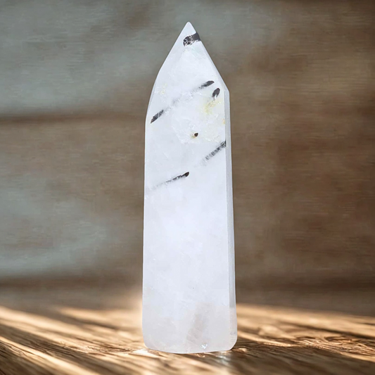 Pointe de Quartz à Tourmaline noire 94g (PRGFL643)