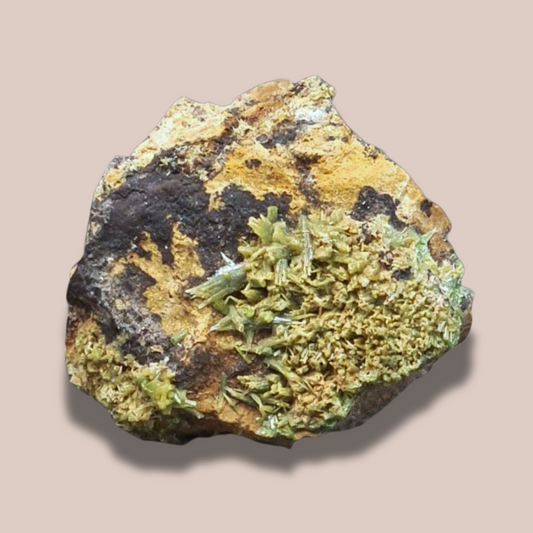 Pyromorphite brute (MB244-4)