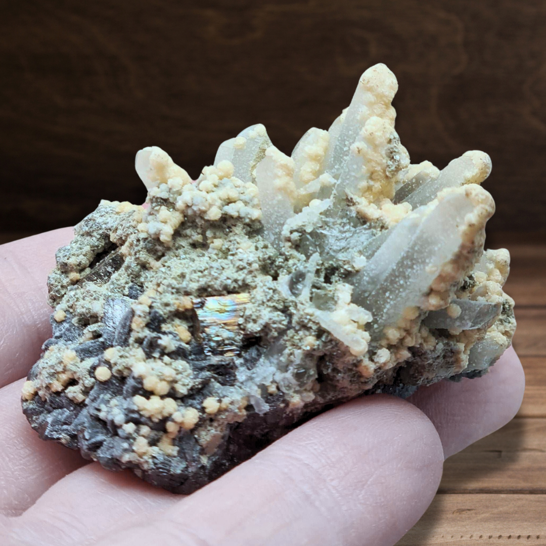 Quartz avec Dolomite, Chlorite, Galène et Sphalérite brut 61g (MB414) - ENAE Minéraux