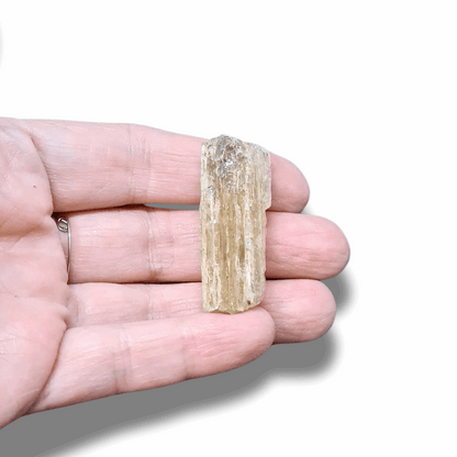 Scapolite brute (MB551-1)