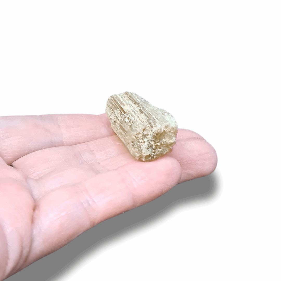 Scapolite brute (MB551-1)