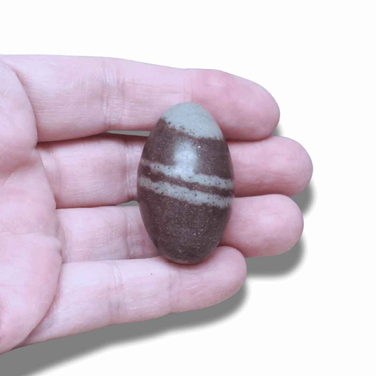 Shiva Lingam (PRGFL674-10) - ENAE Minéraux
