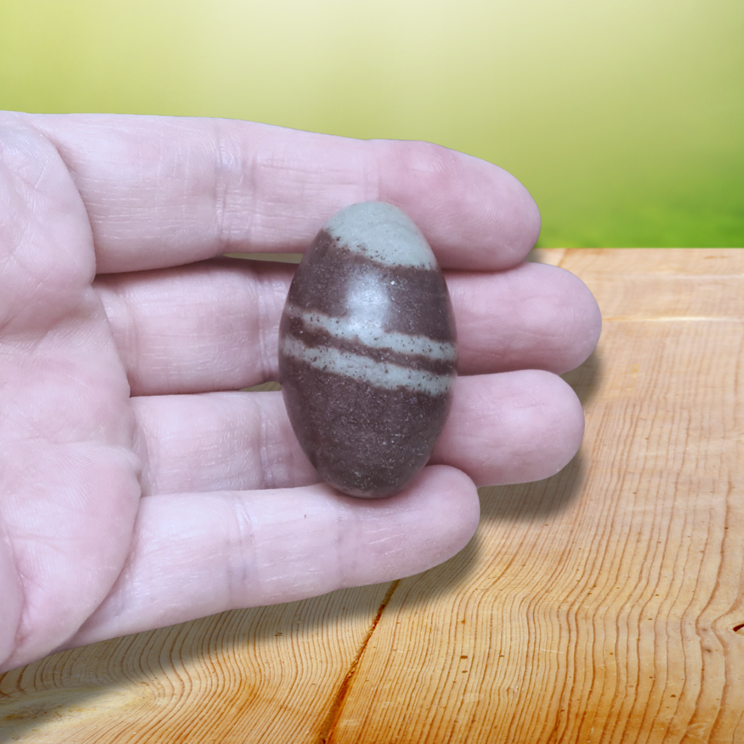 Shiva Lingam 28g (PRGFL674-10) - ENAE Minéraux