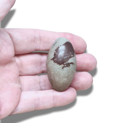 Shiva Lingam (PRGFL674-6) - ENAE Minéraux