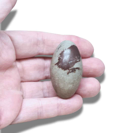 Shiva Lingam (PRGFL674-6) - ENAE Minéraux