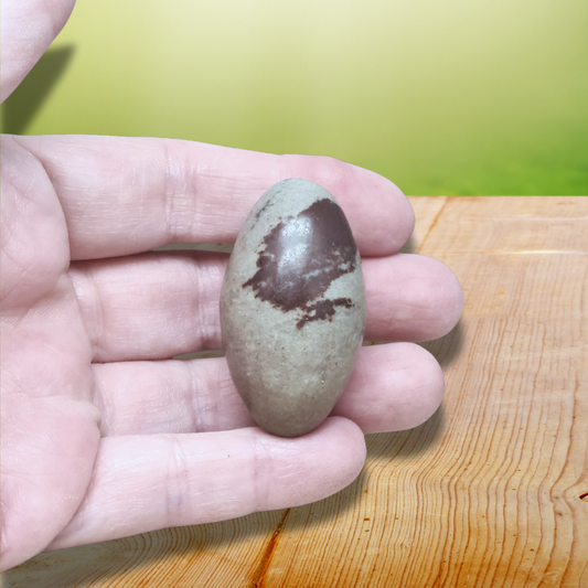 Shiva Lingam 32g (PRGFL674-6) - ENAE Minéraux
