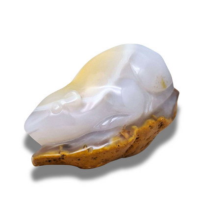 Souris (ou rat) en Agate (PRGFL536-5) - ENAE Minéraux