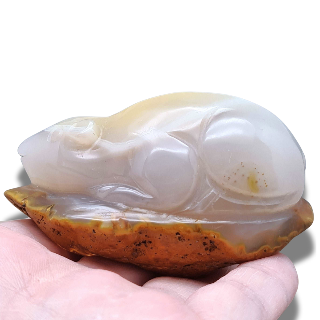 Souris (ou rat) en Agate (PRGFL536-5) - ENAE Minéraux
