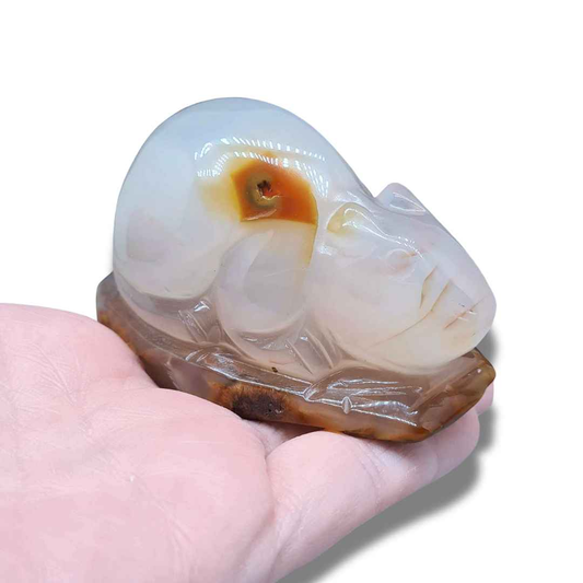 Souris (ou rat) en Agate (PRGFL536-2) - ENAE Minéraux