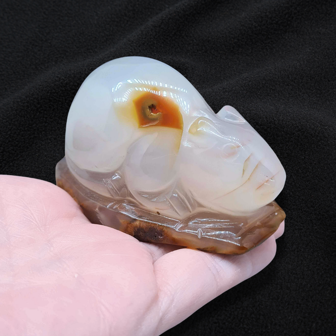 Souris (ou rat) en Agate 177g (PRGFL536-2)
