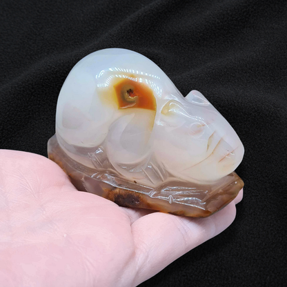 Souris (ou rat) en Agate 177g (PRGFL536-2)