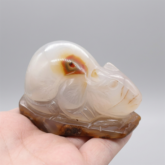 Souris (ou rat) en Agate 177g (PRGFL536-2)