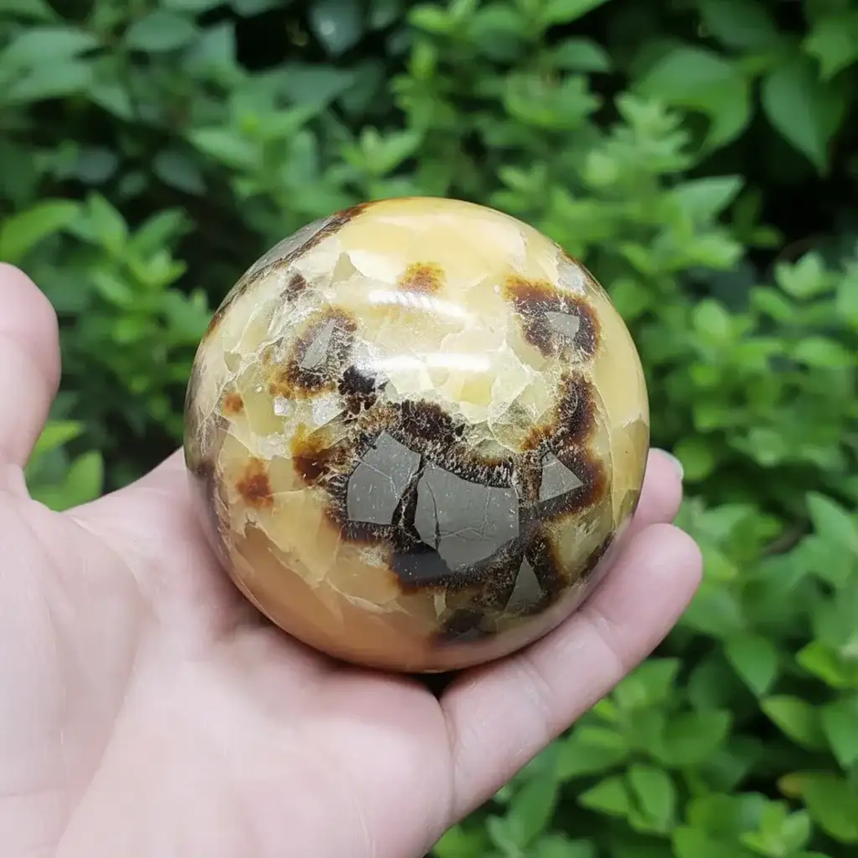 Collection Septaria - ENAE Minéraux