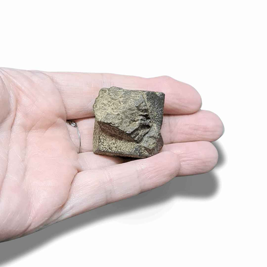 Staurolite ou Staurotide brute (MB497-9) - ENAE Minéraux