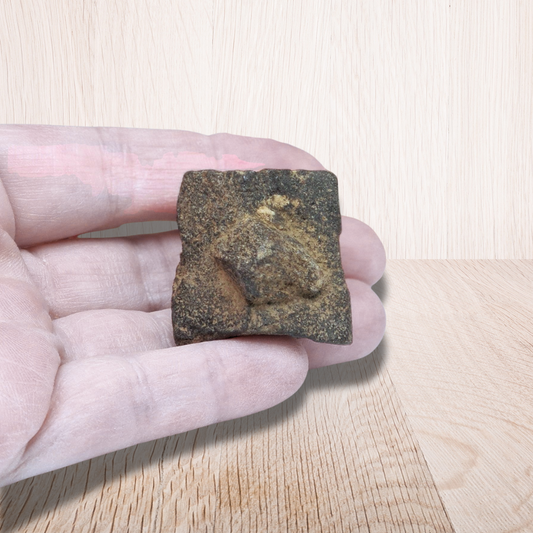 Staurolite ou Staurotide brute 34g (MB497-3) - ENAE Minéraux