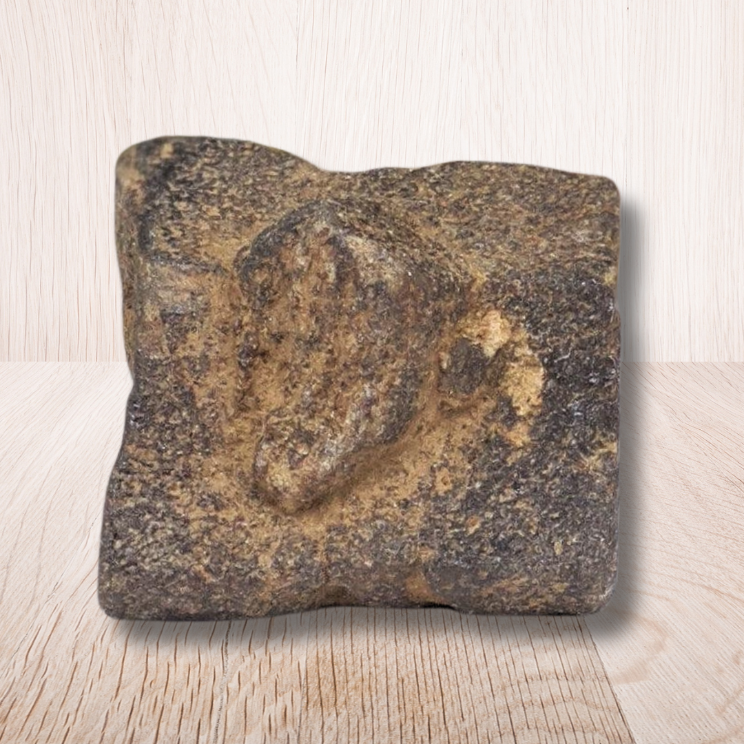 Staurolite ou Staurotide brute 34g (MB497-3) - ENAE Minéraux
