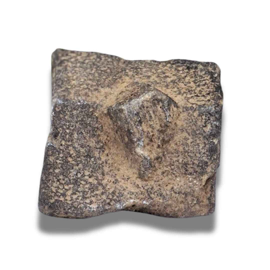 Staurolite ou Staurotide brute (MB497-3) - ENAE Minéraux