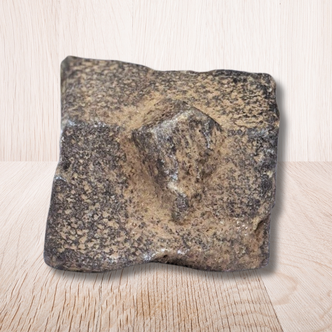 Staurolite ou Staurotide brute 34g (MB497-3) - ENAE Minéraux