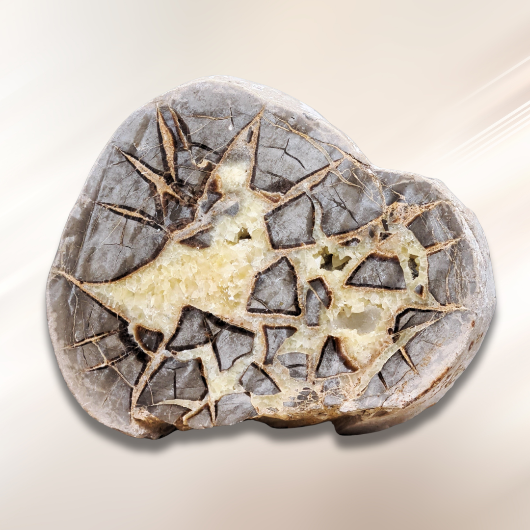 Collection Septaria – ENAE Minéraux