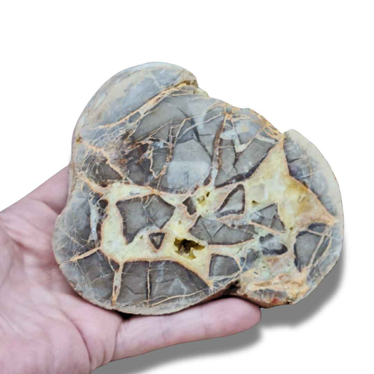 Tranche de Septaria et Calcite jaune brute et polie (MB452)