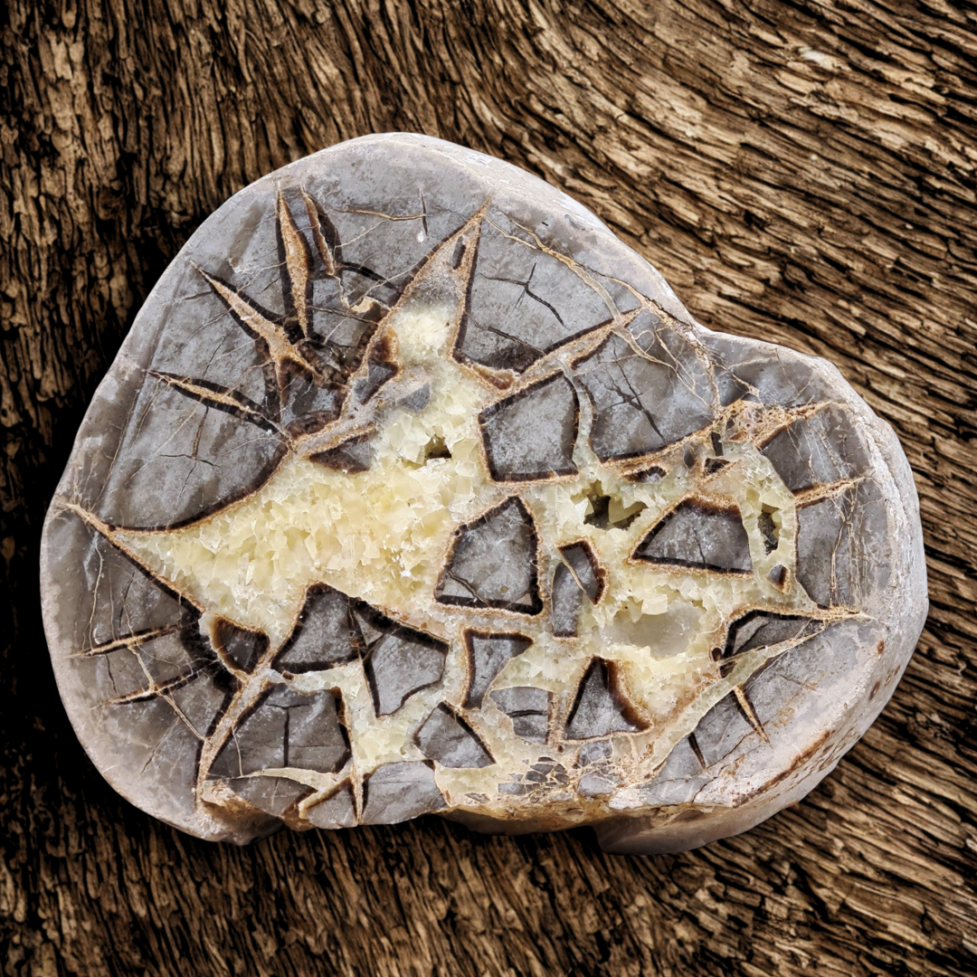 Tranche de Septaria et Calcite jaune brute et polie 388g (MB452)