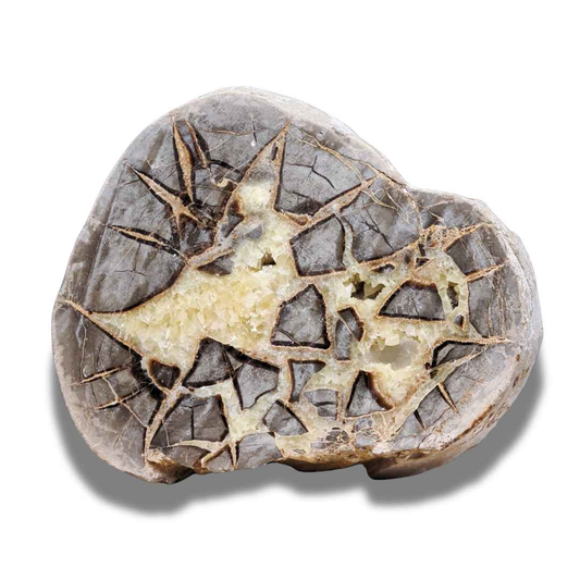 Tranche de Septaria et Calcite jaune brute et polie (MB452)