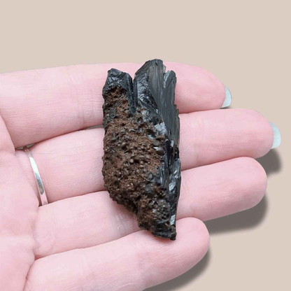 Vivianite brute (MB459-4)