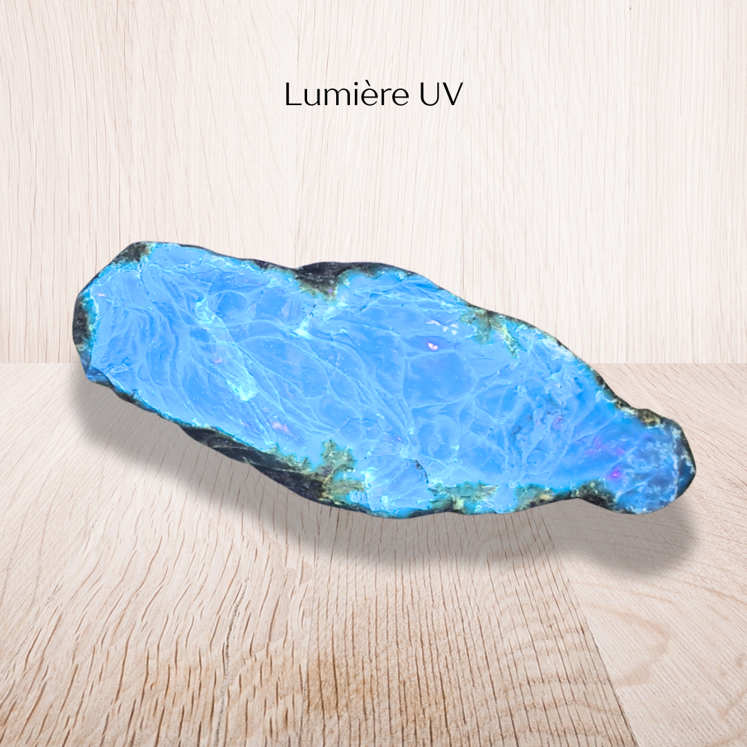 Ambre bleu brute (MB572-1) - ENAE Minéraux