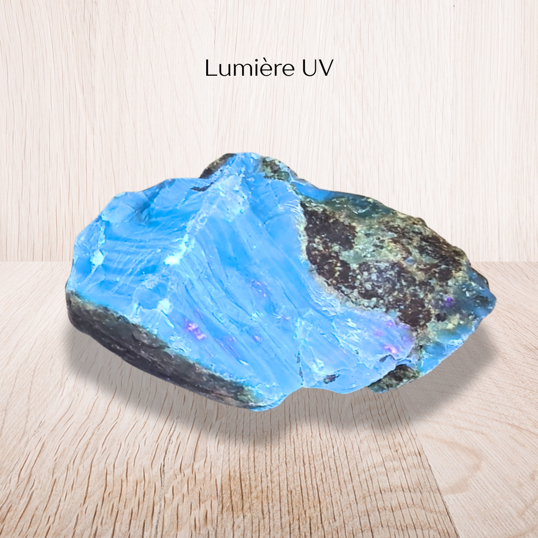 Ambre bleu brute (MB572-2) - ENAE Minéraux