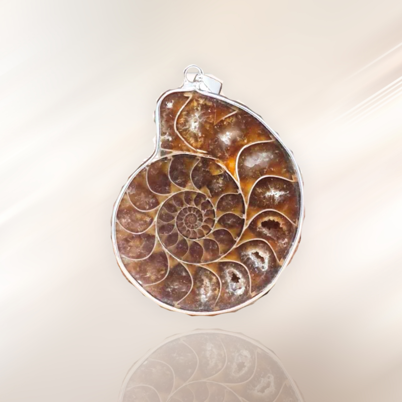 ammonite, fossile, lithotherapie, pendentif serti, pierre ENAE Mineraux