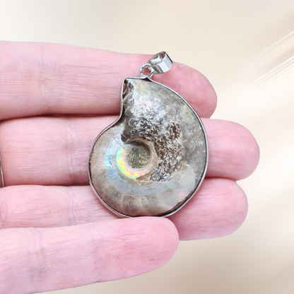 ammonite, fossile, lithotherapie, pendentif serti, pierre ENAE Mineraux