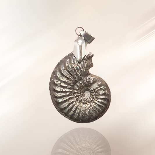 ammonite, lithotherapie, pendentif, pierre brute, pyrite ENAE Mineraux