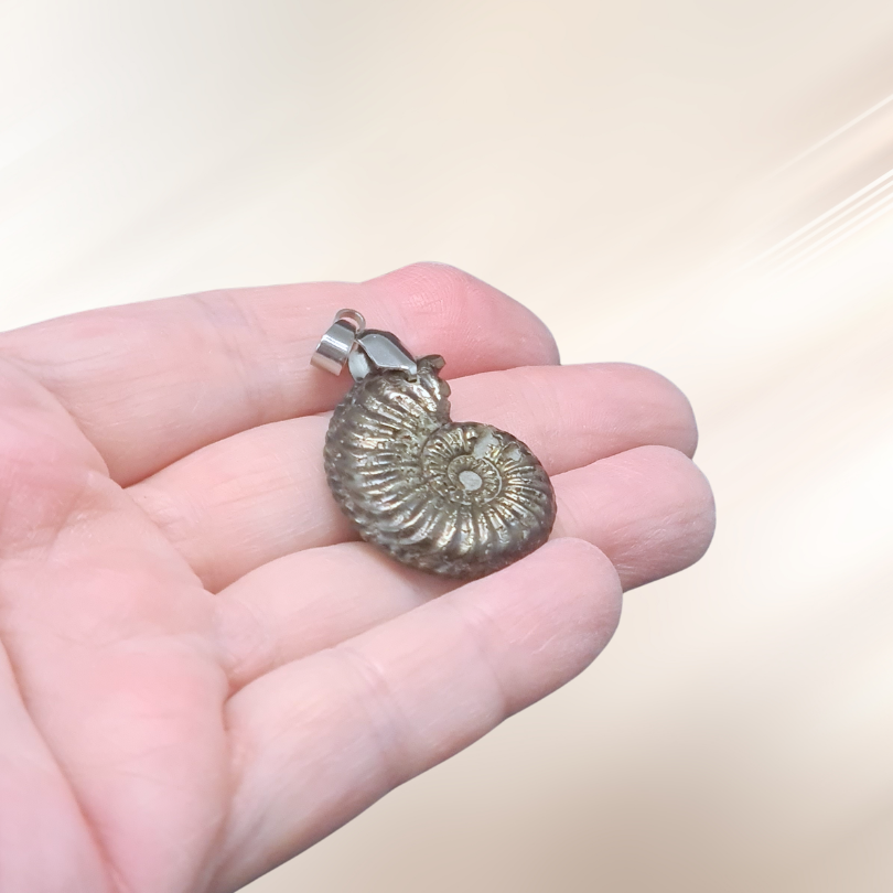 ammonite, lithotherapie, pendentif, pierre brute, pyrite ENAE Mineraux